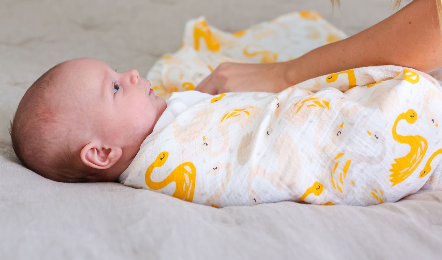 Gender Neutral Muslin Swaddle Blankets