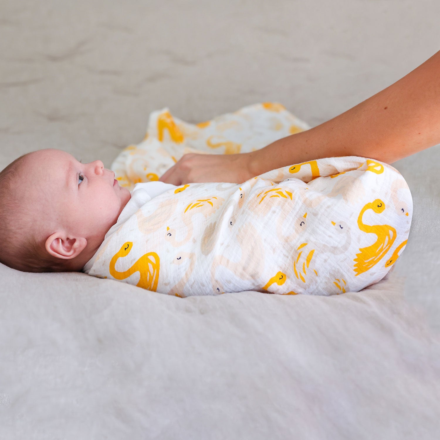 Swan deals swaddle blanket